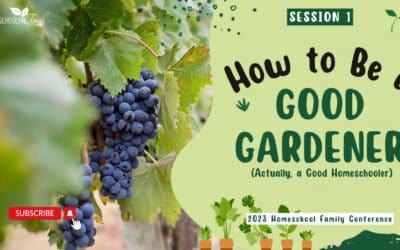 How to Be a Good Gardener