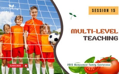 Multi-Level Teaching