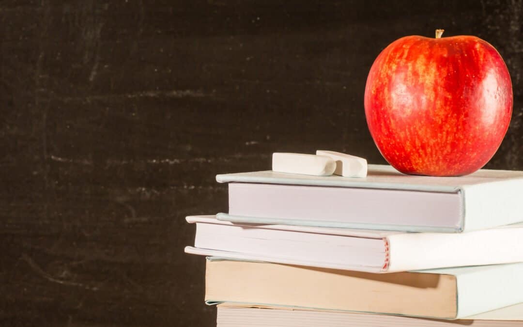 Introduction to Our Homeschooling Philosophy (VIDEO)