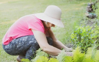 Good Ways for Mom to Spend the Summer