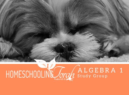 Algebra 1 Study Group