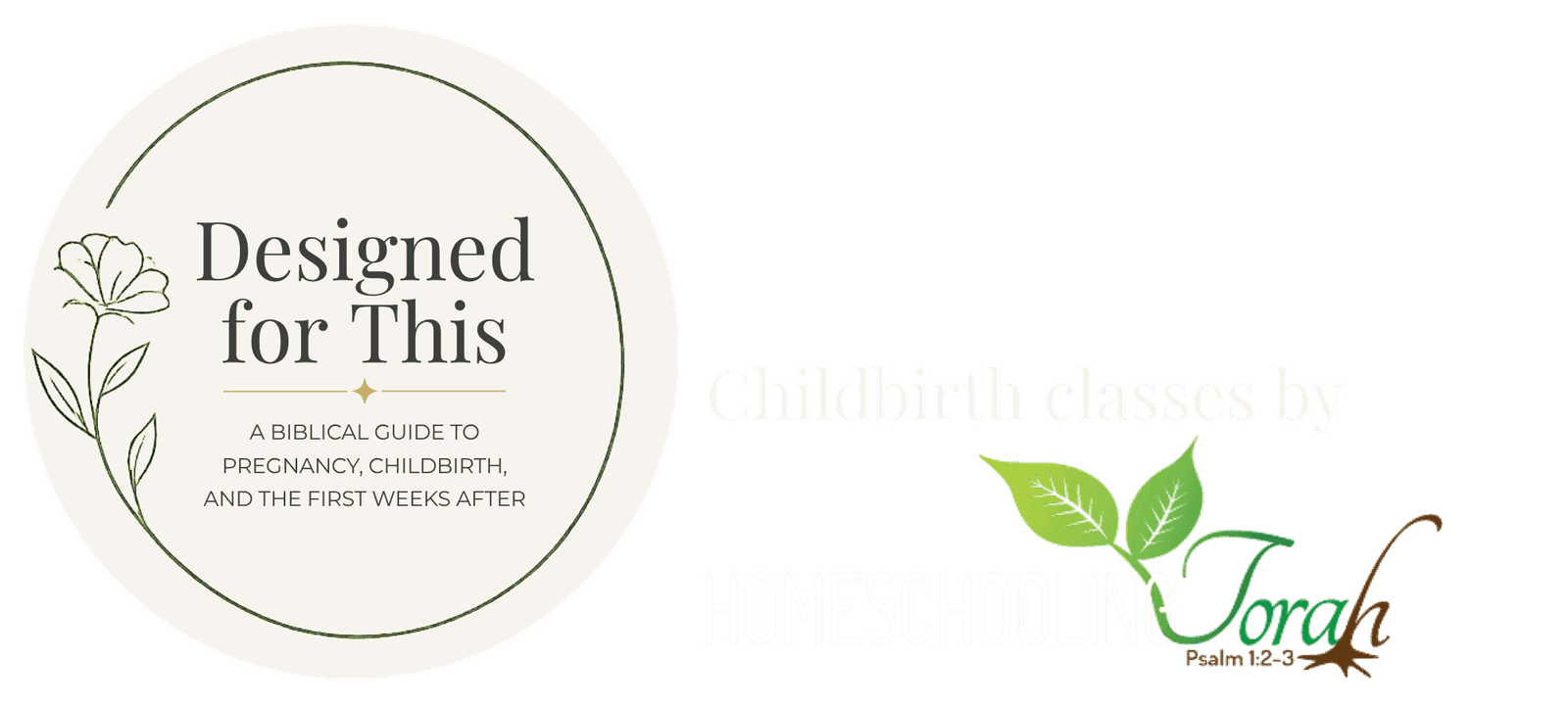 Childbirth Class Header 2