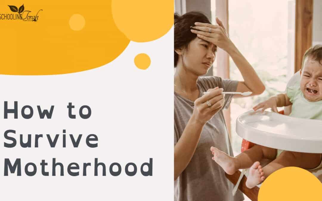 VIDEO: How to Survive Motherhood