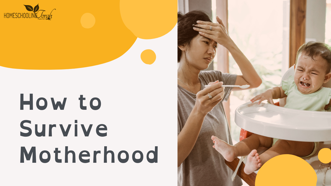 VIDEO: How to Survive Motherhood
