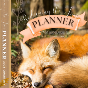 Redeeming the Time Planner (2026 Quarter 4)