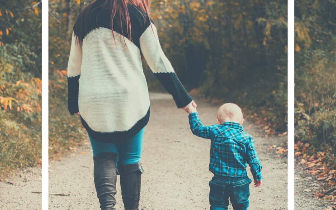 Free Teacher Training for Homeschoolers