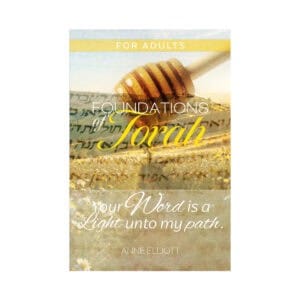 Foundations of Torah for Adults (Printed)