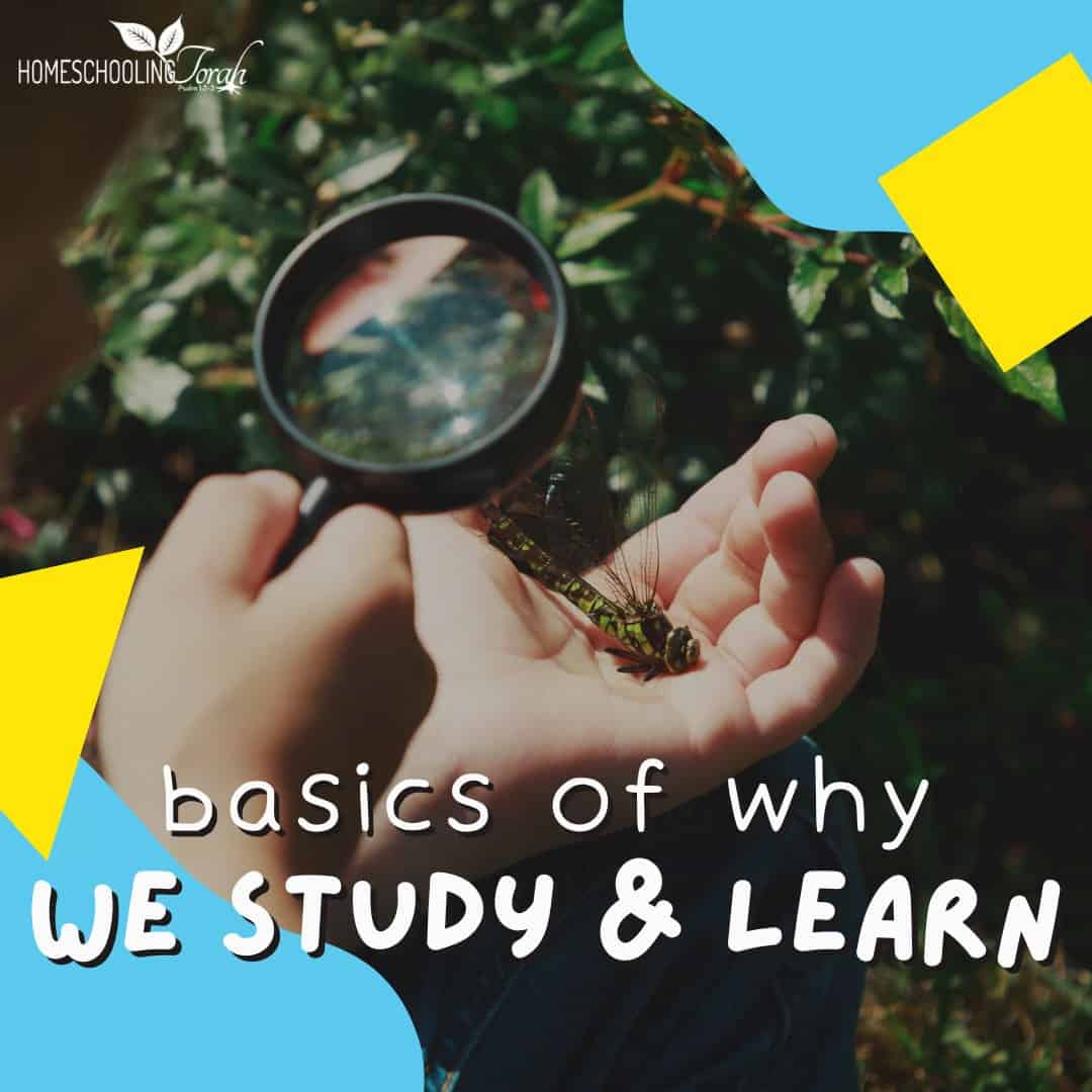 basics of why we study and learn basics of why we study and learn