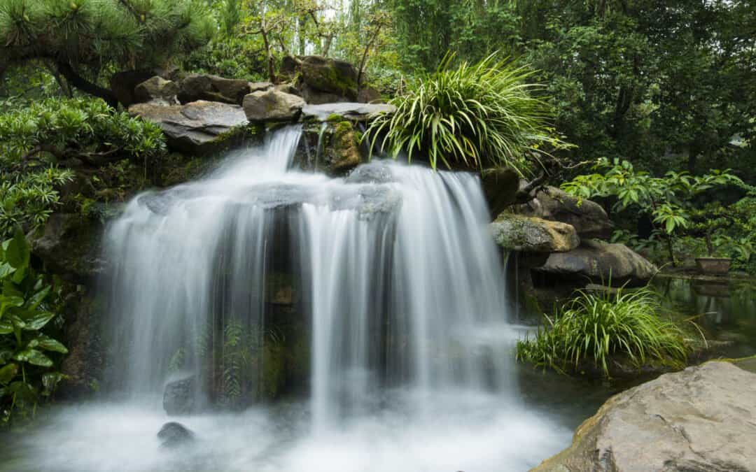 Why Young-Earth Creation Matters