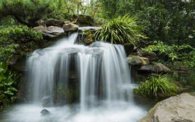 Why Young-Earth Creation Matters