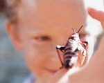 child with insect