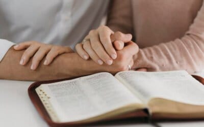 Who’s In Charge (in Your Homeschool)?