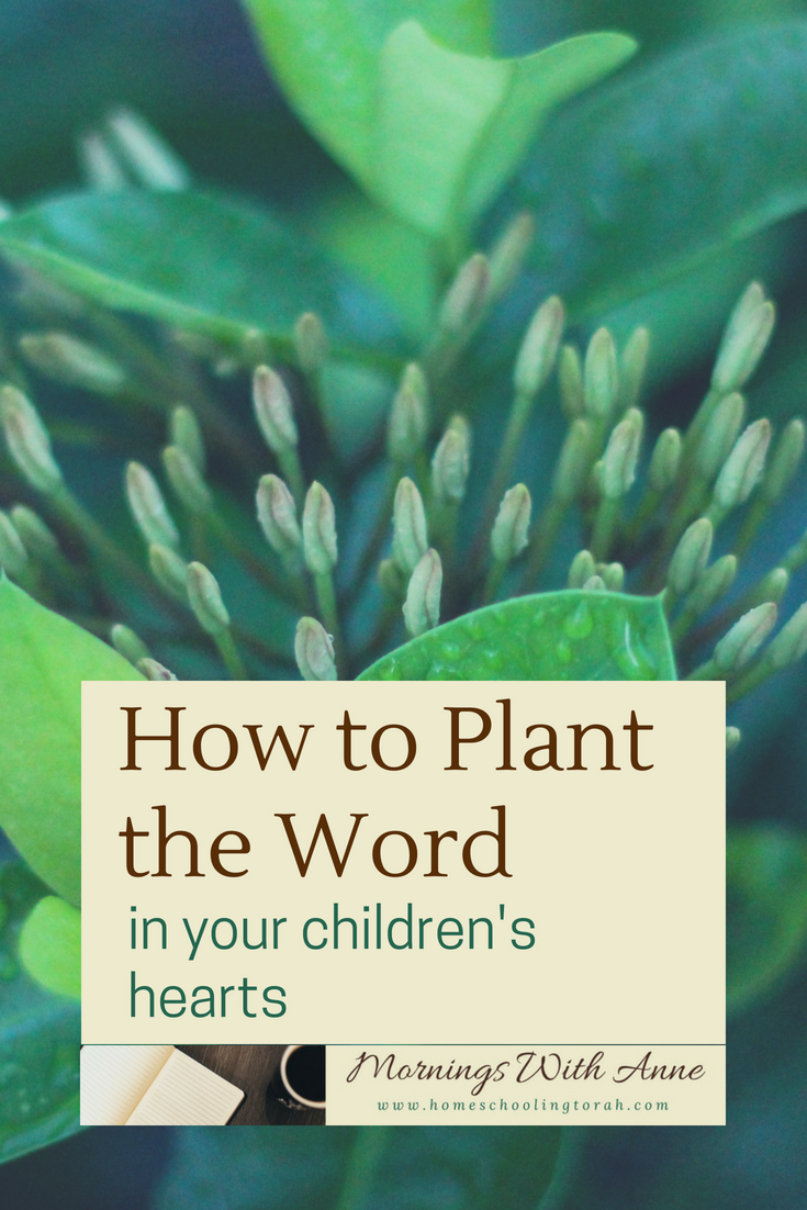 VIDEO: How to Plant the Word in Your Children’s Hearts