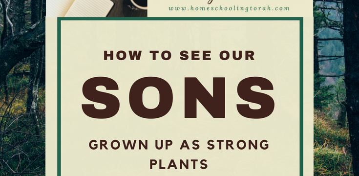 How to See Our Sons Grown Up as Strong Plants