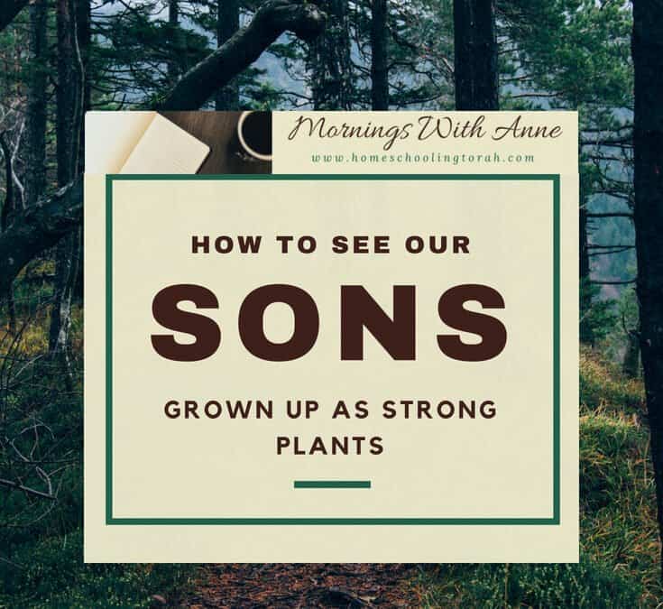 VIDEO: How to See Our Sons Grown Up as Strong Plants
