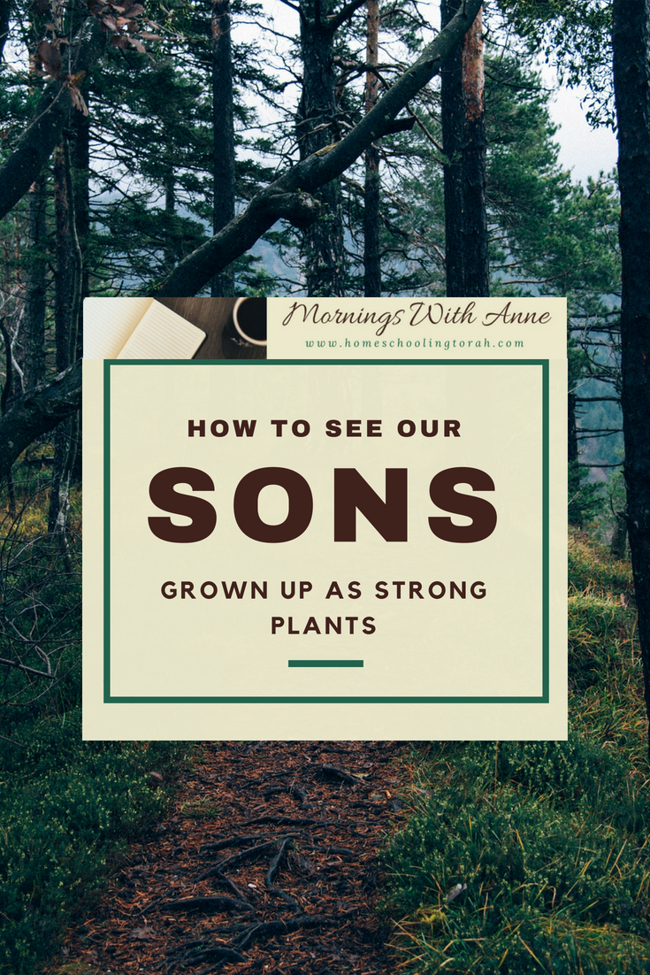 VIDEO: How to See Our Sons Grown Up as Strong Plants