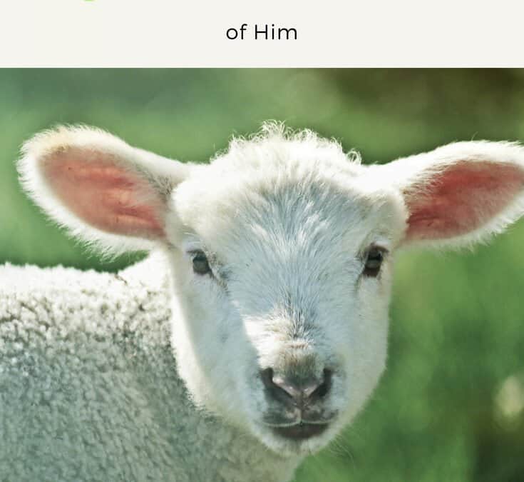 VIDEO: How to Do All Things in Remembrance of Him